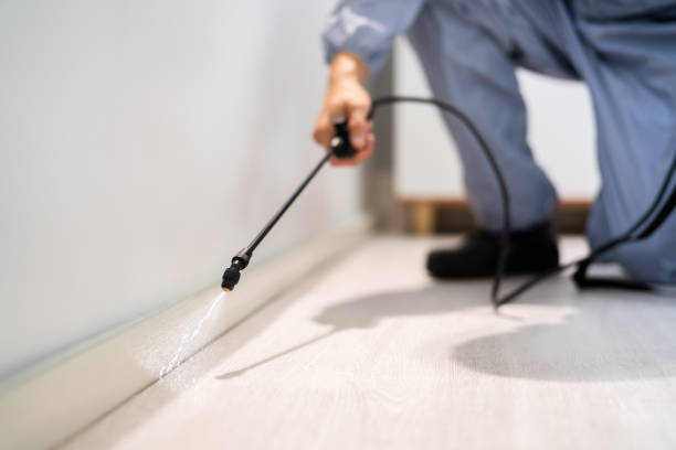 Licensed Exterminator service in Ardmore, OK - Show Me Pest Control